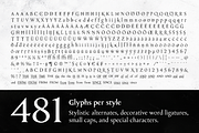 Eitel, a Serif Font by Rosario Nocera (Thumbnail 6 of 11)