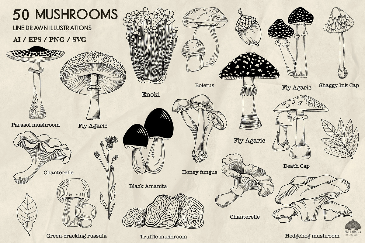 Mushrooms Line Art + Procreate, an Illustration by Skliarova (Photo 2 of 4)