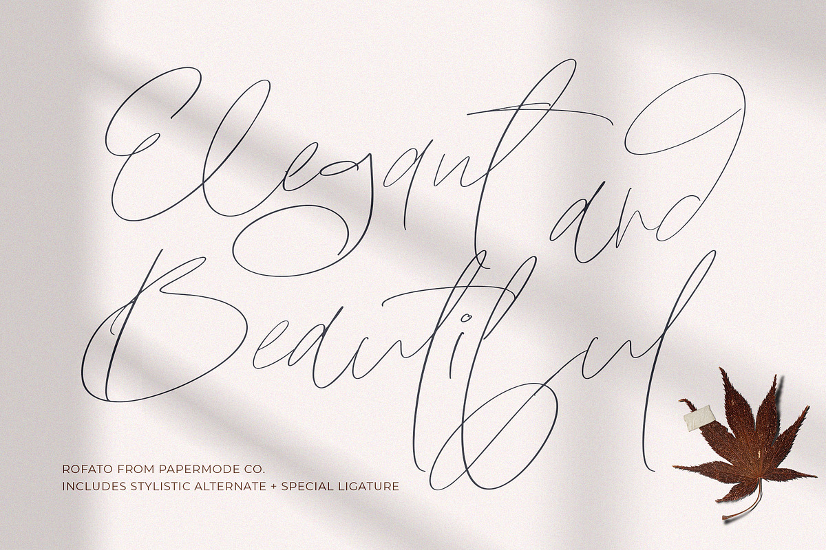 Rofato, a Script Font by Papermode Co. (Photo 4 of 9)
