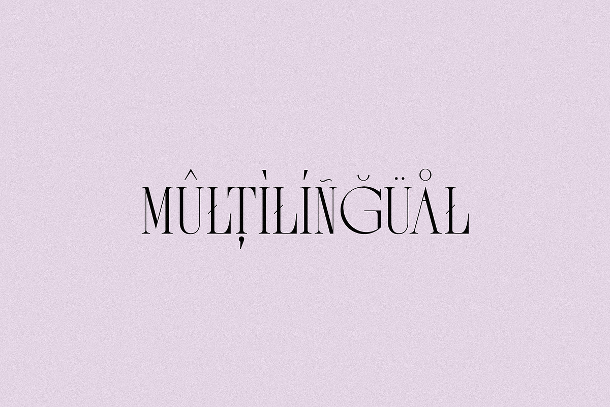 Melted Etoile - Chic Ligature Serif, a Serif Font by Mikhail Fukurou (Photo 8 of 8)