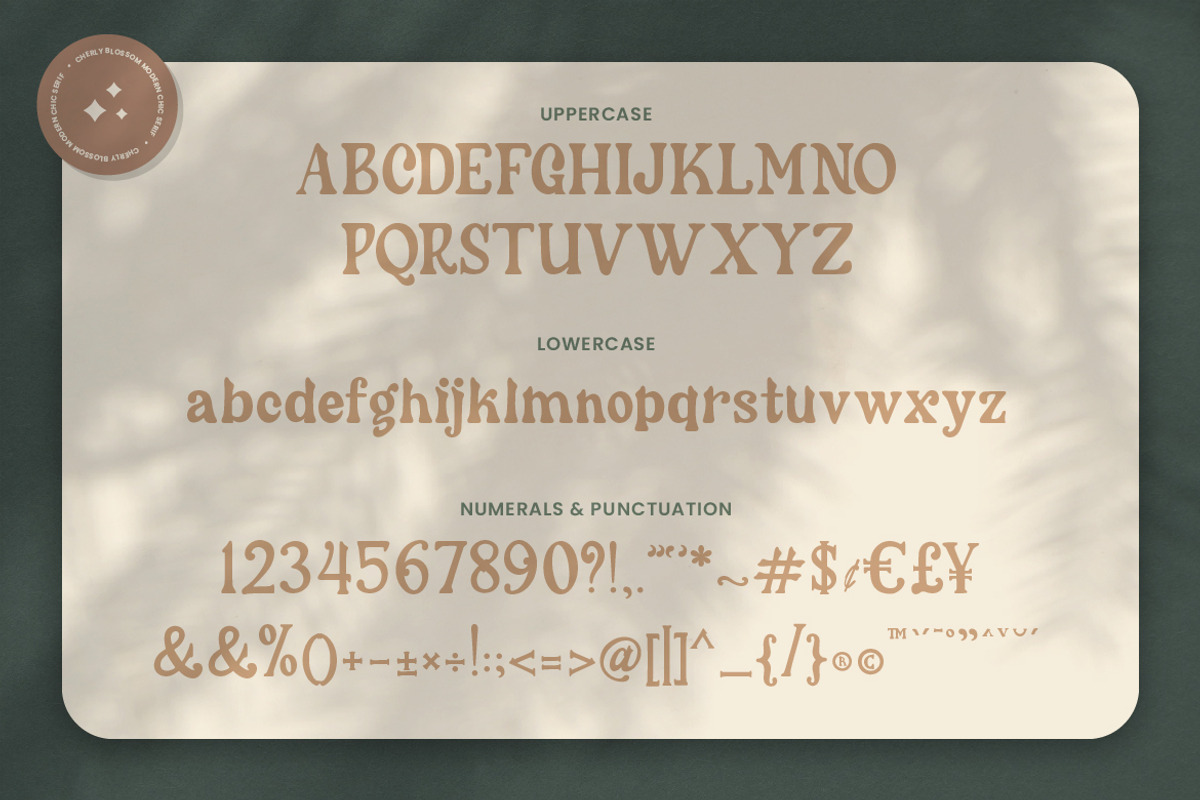 Cherly Blossom Modern Chic Serif, a Serif Font by Creatype Studio (Photo 8 of 9)