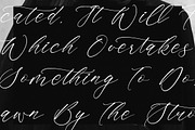 Saltngos Modern Calligraphy, a Script Font by Letterena Studios Script (Thumbnail 4 of 15)