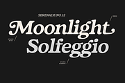 Fedro - 14 Fonts, a Serif Font by Nasir Udin (Thumbnail 15 of 20)