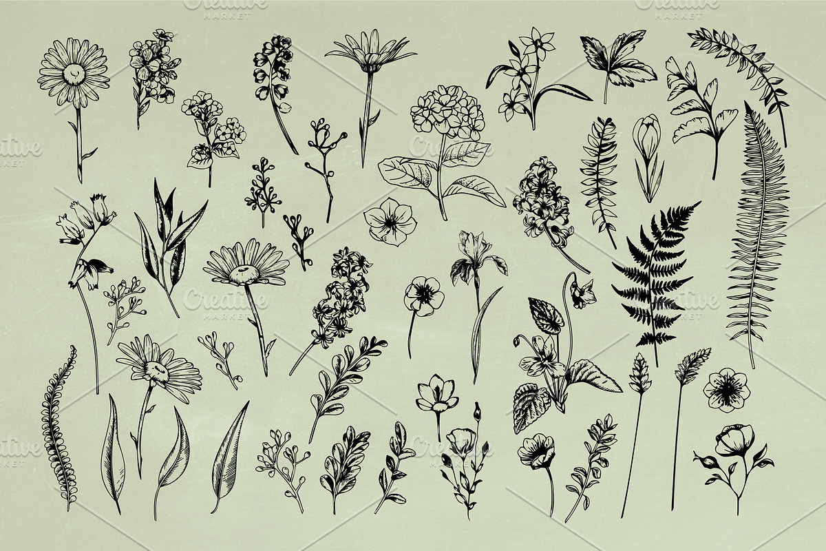 Vintage Herbs & Flowers mega set, an Object Illustration by Garden in frame (Photo 2 of 8)