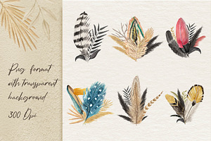 Watercolor Feathers Collection