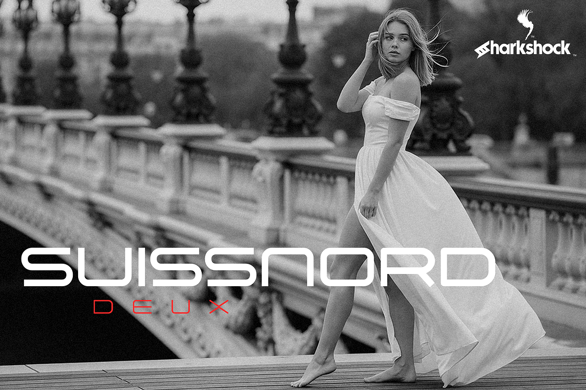 Suissnord Deux, a Sans Serif Font by Sharkshock (Photo 1 of 5)