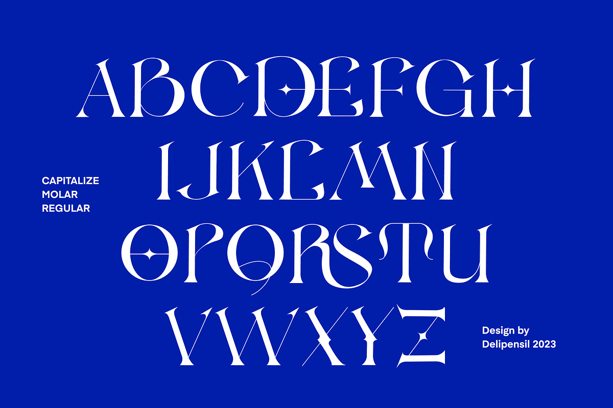 MOLAR - Modern Serif Typeface, a Serif Font by delipensil (Photo 5 of 9)