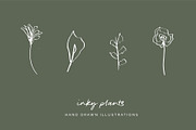 Floral Botanical Plant Illustrations, an Icon by CreativeWilderness (Thumbnail 5 of 11)