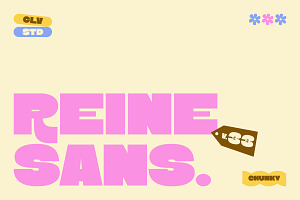 Reine Sans, a Sans Serif Font by ClevUs