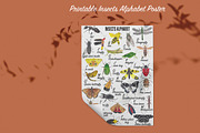 Insects Alphabet & clipart, an Animal Illustration by Visual Animal (Thumbnail 4 of 5)