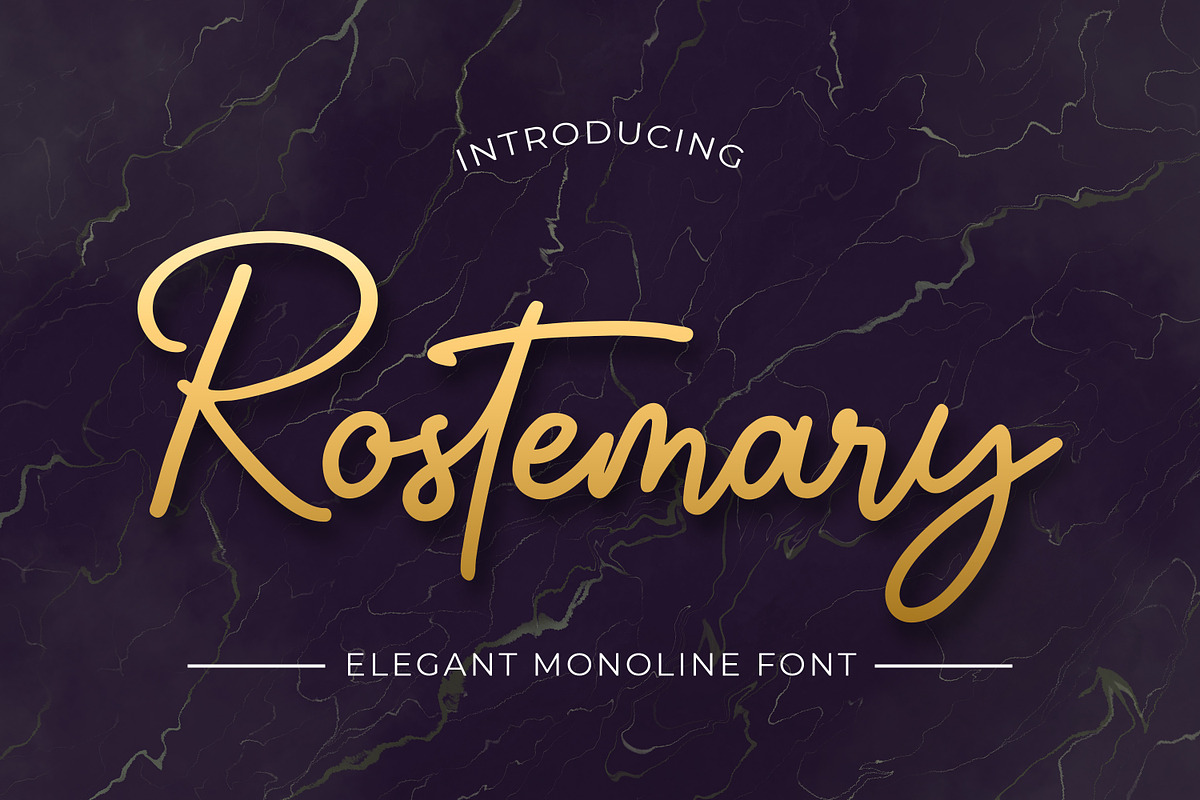 Rostemary - Elegant Monoline Font, a Script Font by Almarkhatype (Photo 1 of 10)