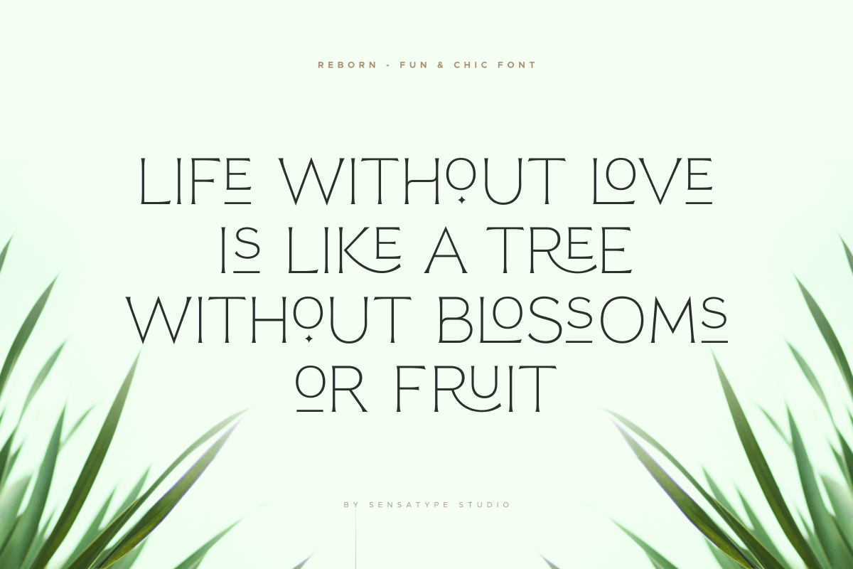 Reborn Font | FontCypress