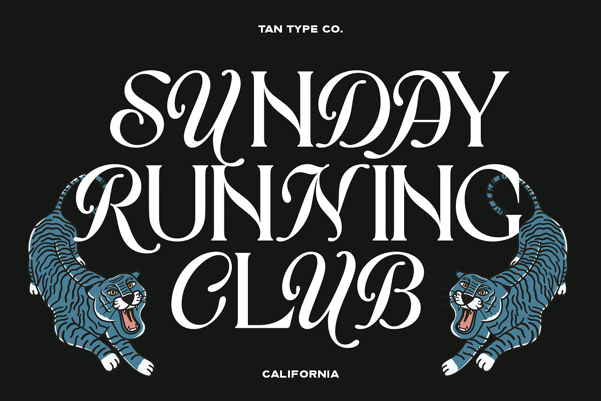 TAN - CALIFORNIA, a Serif Font by TanType (Photo 2 of 16)