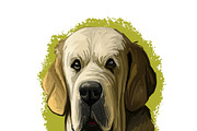 Mastiffs and Pugs 34 PSD Dogs Set, an Animal Illustration by Dneprstock (Thumbnail 2 of 15)