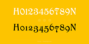 Daring, a Serif Font by preussTYPE (Thumbnail 3 of 8)
