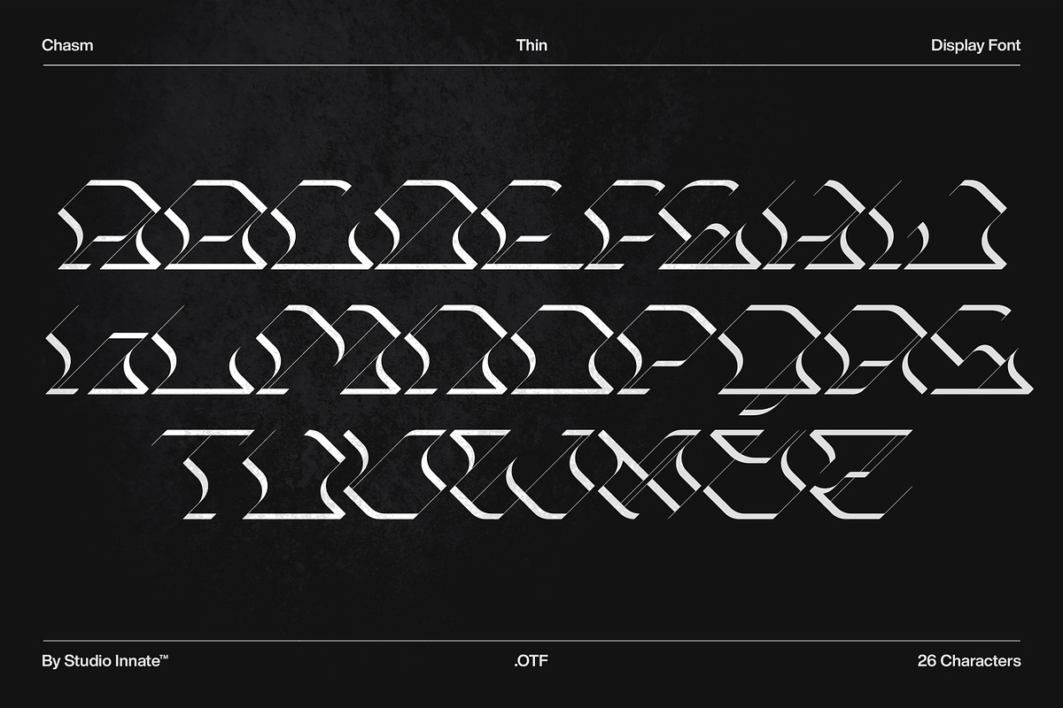 Chasm - Display Font Family, a Serif Font by Studio Innate (Photo 6 of 6)