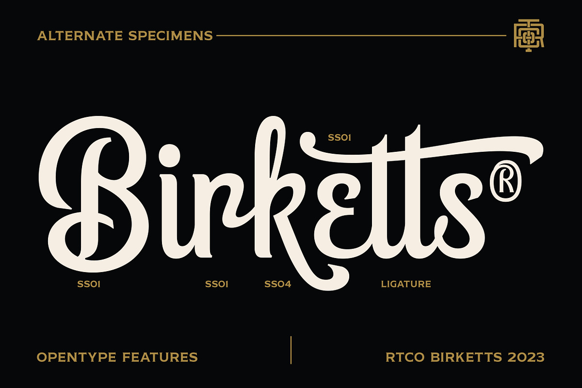 Birketts - Classy Motorcycle Font, a Script Font by Roams Type (Photo 3 of 8)