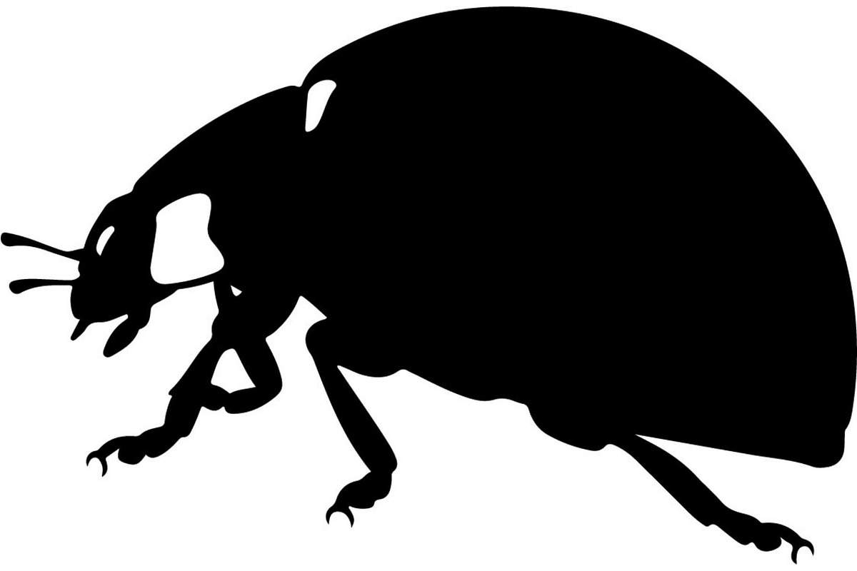 Ladybug Silhouette, an Object Graphic by Designer_Momina (Photo 10 of 20)