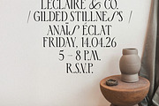 Aveline, Soft Serif with Ligatures, a Serif Font by CarmineType (Thumbnail 27 of 28)