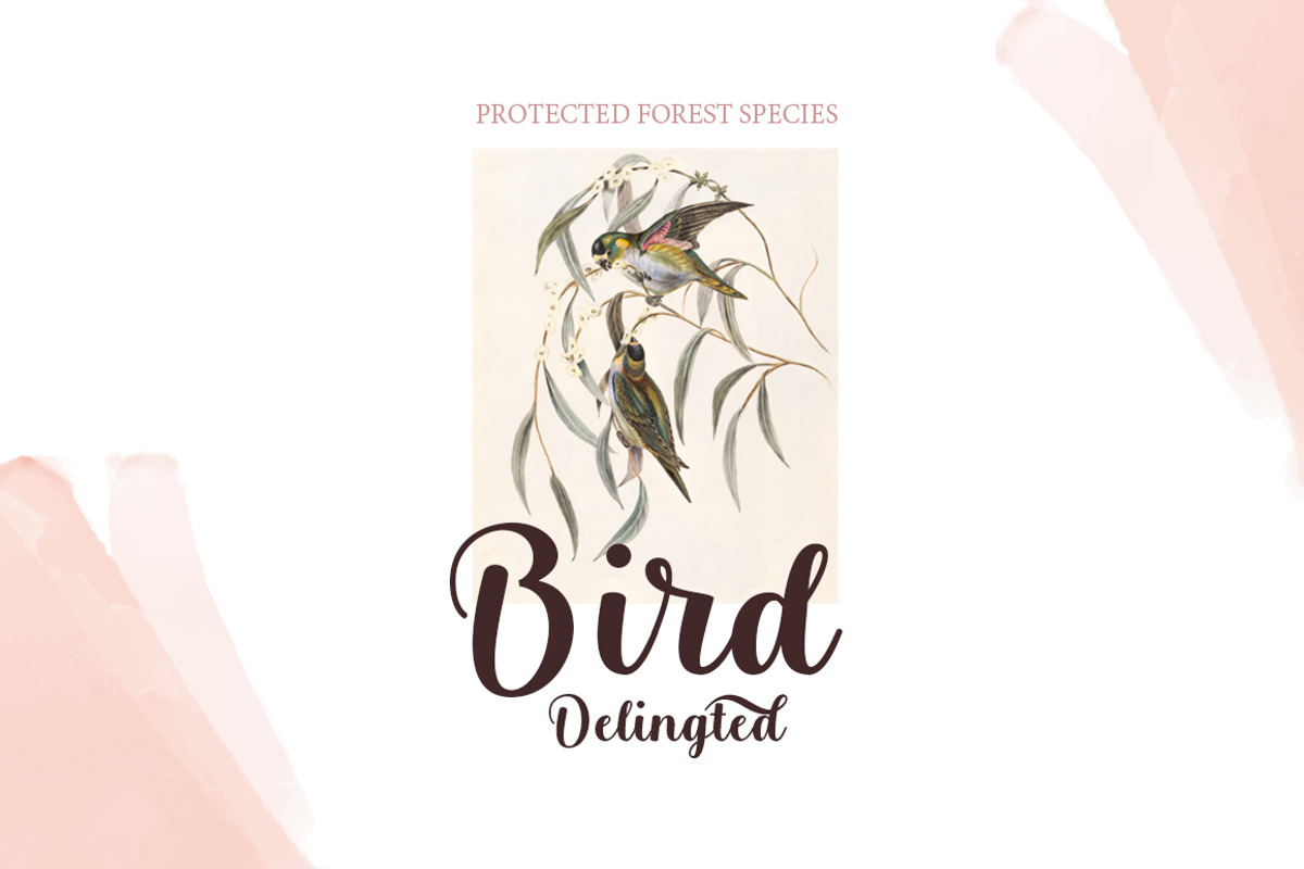 Belita, a Script Font by Gatype (Photo 6 of 9)