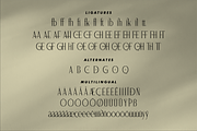 Saegathe Modern Serif Font, a Serif Font by Storytype Studio (Thumbnail 14 of 15)