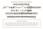 Shafira, a Serif Font by Umitype (Thumbnail 13 of 16)