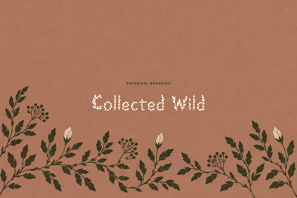 Botanicum Leafy Display Font, a Sans Serif Font by Graphic Spirit (Photo 6 of 8)