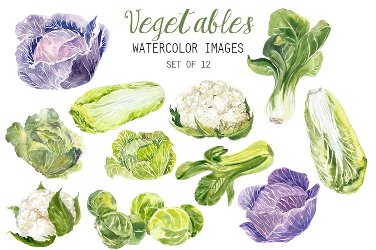 Watercolor Vegetables Clipart, a Food Illustration by YesFoxy
