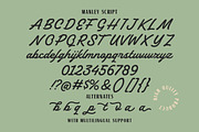 Malney Classic Font Duo, a Script Font by Letterhend Studio (Thumbnail 5 of 10)