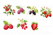 Watercolor Berry Clipart, Strawberry, a Food Illustration by BrushstrokeArtGB (Thumbnail 5 of 9)