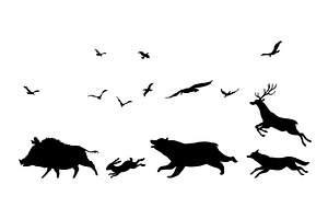 Silhouettes of Wildlife Boar, an Animal Illustration by Things for designers
