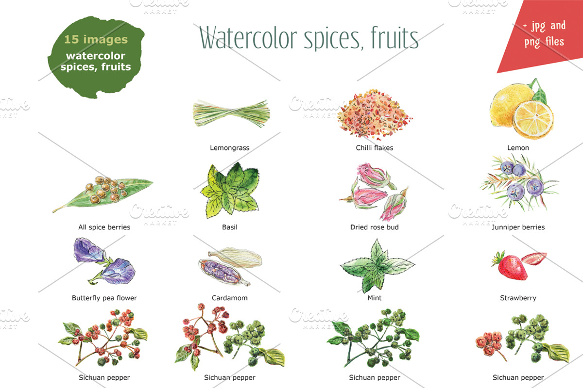 Watercolor spices, fruits, vector, an Illustration by miminoshka (Photo 2 of 8)