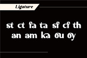 Alestair - Sans Serif Display Font, a Sans Serif Font by Rishsketch (Thumbnail 12 of 15)