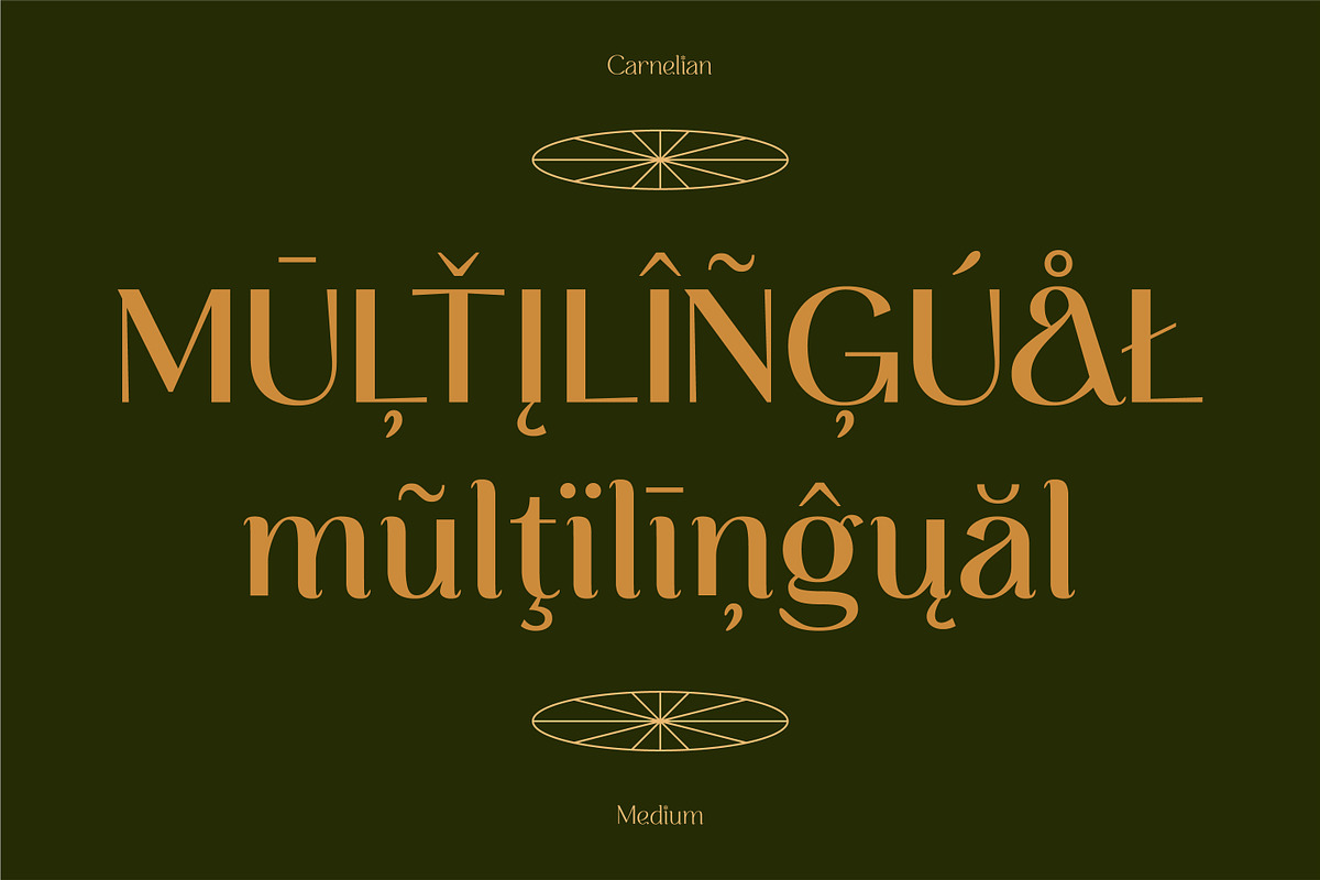 CARNELIAN - Display Variable Type, a Sans Serif Font by Artflorara (Photo 12 of 16)