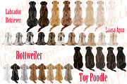 Dog Breeds Clipart,Dogs clip art, an Illustration by chilipapers (Thumbnail 3 of 4)