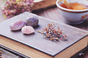 Books and Tea 2, a Nature Photo by Coral Antler