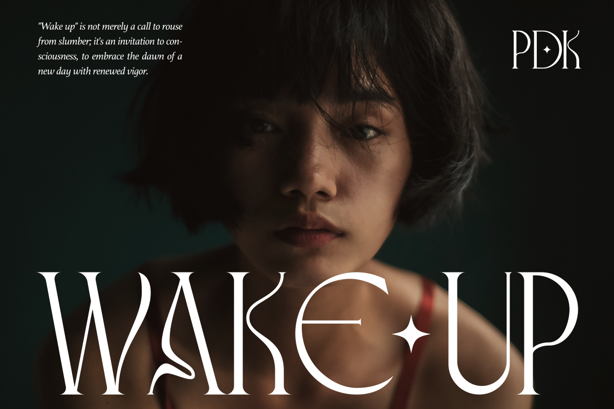 Roquila - Modern Serif Font, a Serif Font by Pandeka Studio (Photo 6 of 11)