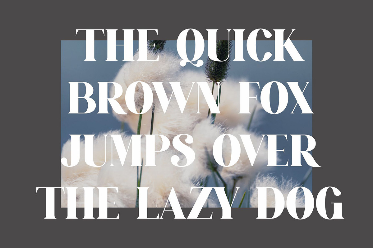 ROMANS Modern Serif Font, a Slab Serif Font by Alfinart (Photo 5 of 8)