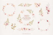 Dried flowers watercolor graphics, an Illustration by Angele Kamp (Thumbnail 9 of 10)