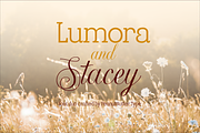 Lumora and Stacey Font Duo, a Font by PeanutButter Type (Thumbnail 1 of 9)