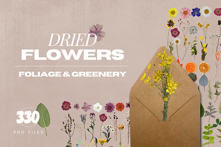 Dried Flowers & Leaves Pack, a Graphic by BE-Creatives