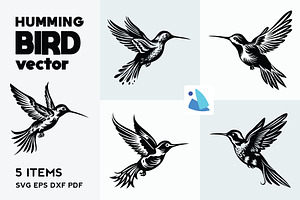Humming Bird Vector Bundle
