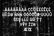 True South Handbrush Fonts, a Sans Serif Font by Crump Hand (Thumbnail 4 of 8)