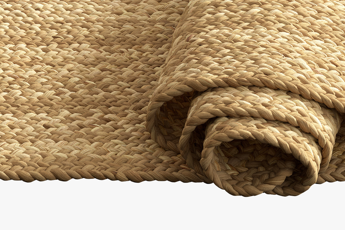Dina Coastal Jute Rug Runner, a Furniture 3D Model by 3dmitruk (Photo 10 of 14)
