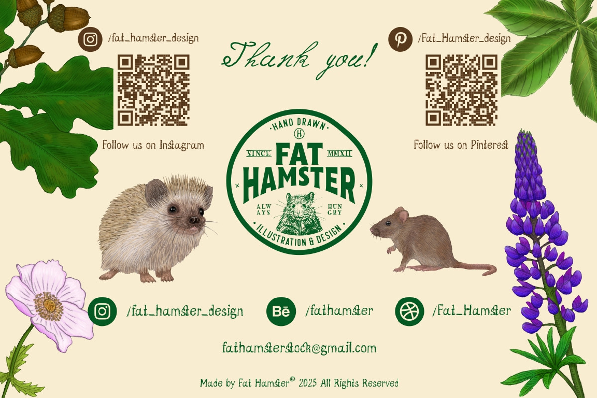 Forest Sketchbook illustrations, an Object Graphic by Fat Hamster (Photo 16 of 17)