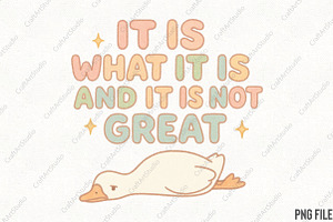 It Is What It Is and It Is Not Great, an Illustration by CraftArtStudio