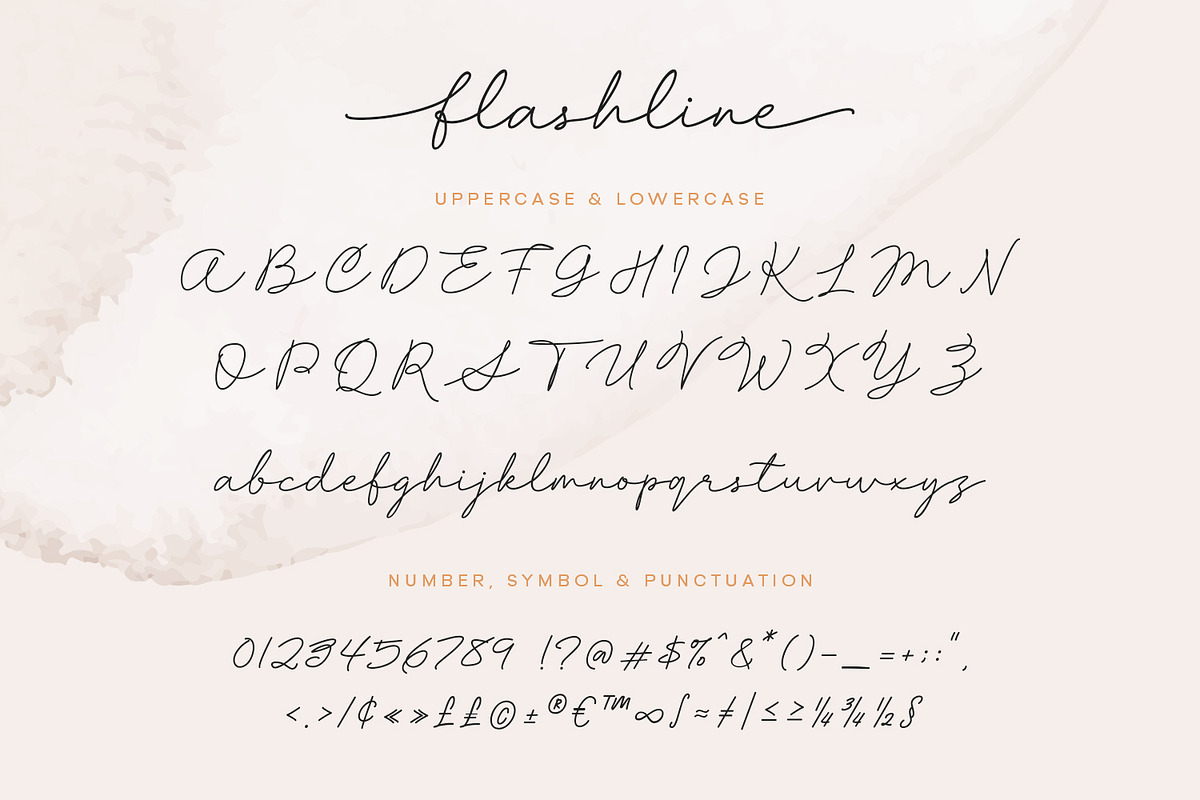 Flashline, a Script Font by Gatype (Photo 8 of 10)