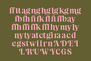 Sagira Beverly Modern Display Serif, a Script Font by timelesstype.co (Thumbnail 13 of 15)