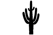 collection of desert cactus silhouet, an Illustration by Amazin_art (Thumbnail 12 of 33)
