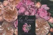 La Rosea — Botanical Floral Ephemera, a Background Graphic by nadispasibenko (Thumbnail 4 of 8)